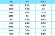 魔力百科装备掉落地图推荐 快速获取稀有物品