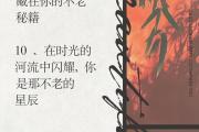 魔力宝贝私服如何快速致富，赚钱秘籍大揭秘