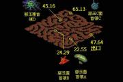 魔力宝贝私服挂机地图推荐 高爆率升级之地