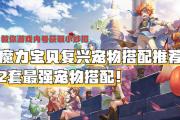 魔力宝贝私服宠物技能加点方案推荐
