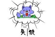 魔力宝贝私服跨服战的战术分享轻松赢得胜利