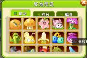 魔力宝贝私服稀有宝物探秘 你不知道的隐藏宝藏