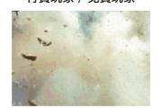 魔力宝贝私服高爆率副本揭秘 轻松获得稀有装备