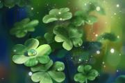 魔力百科职业选择策略，找到最适合你的玩法
