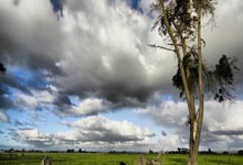 《魔力宝贝》银色猎人PS征集大赛介绍