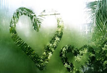 《魔力宝贝》银色猎人PS征集大赛介绍