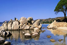 《魔力宝贝》银色猎人PS征集大赛介绍