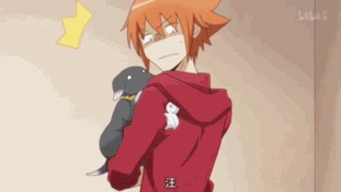 魔力宝贝私服宠物捕捉技巧 如何获得稀有神宠