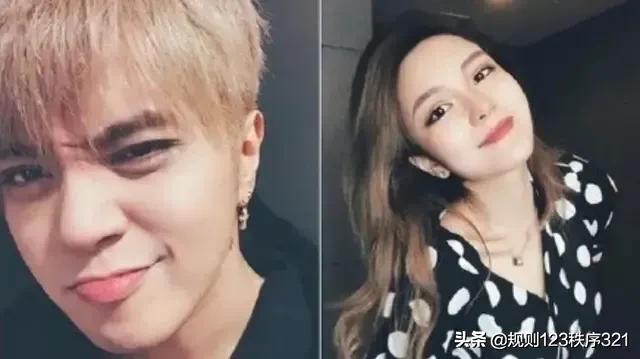 魔力百科新手任务全解析，快速上手不再愁