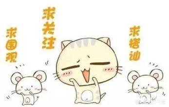 魔力宝贝私服新手必看 游戏开局快速上手