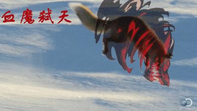 魔力宝贝sf刷副本最优路线推荐，快速拿奖励