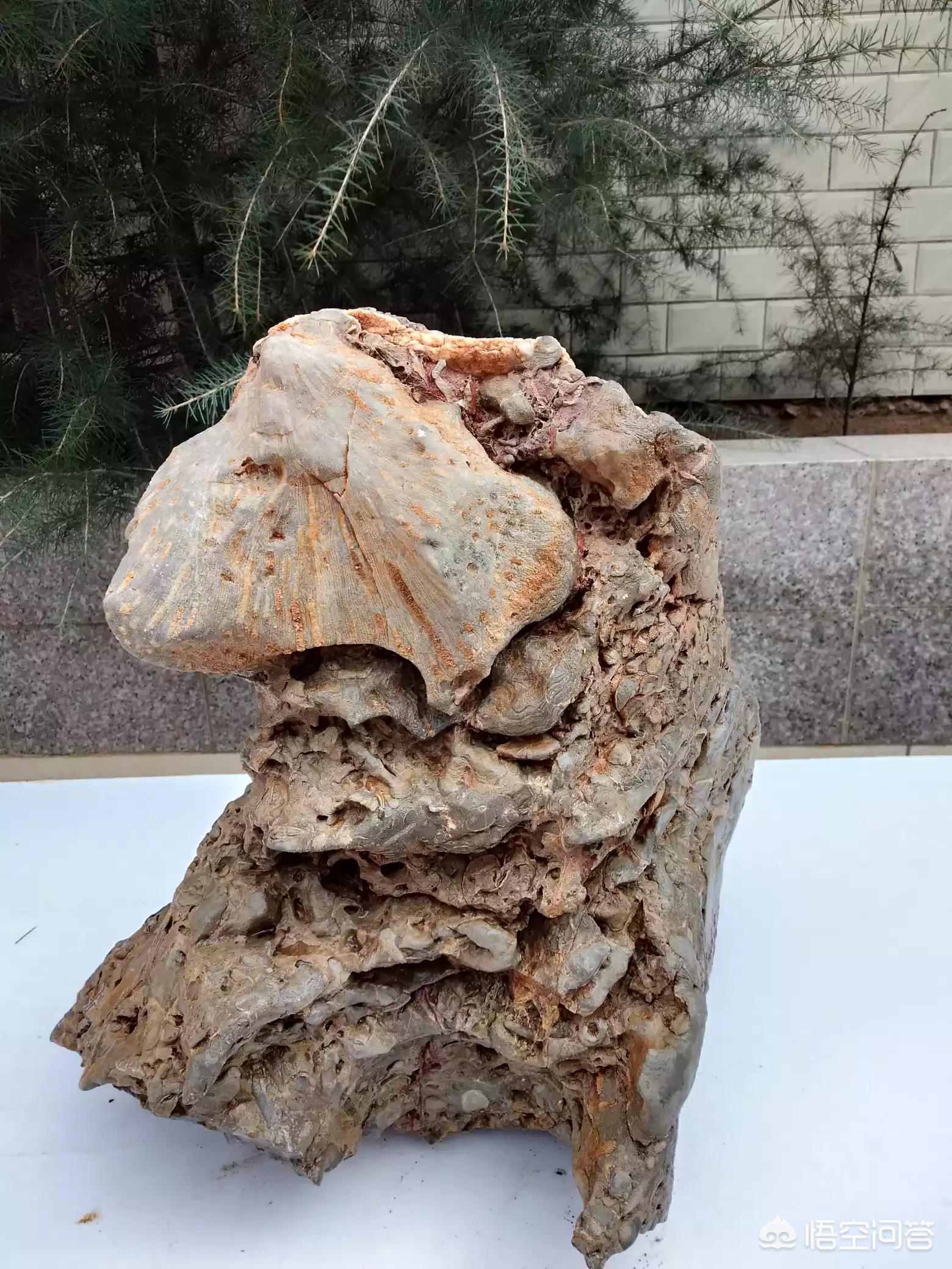 魔力百科职业搭配技巧 打造最强战斗组合