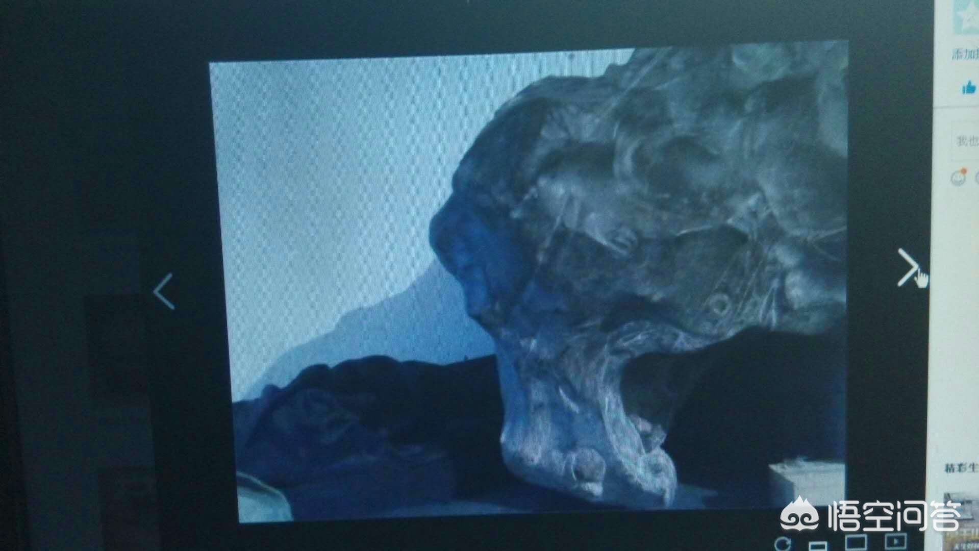 魔力百科职业搭配技巧 打造最强战斗组合