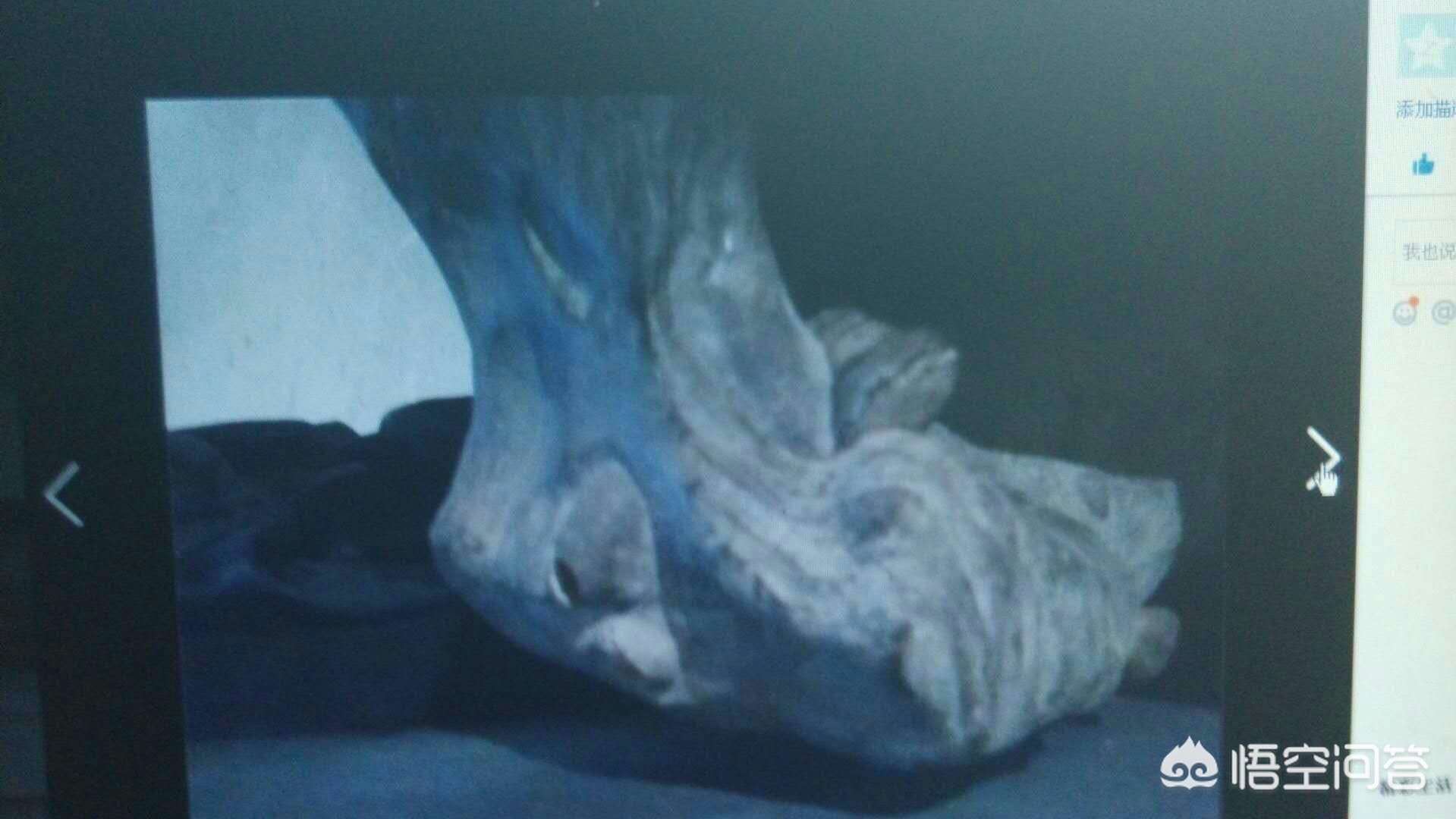 魔力百科职业搭配技巧 打造最强战斗组合