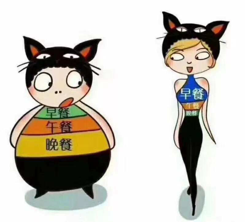 魔力百科新手必看攻略 快速提升实力的方法