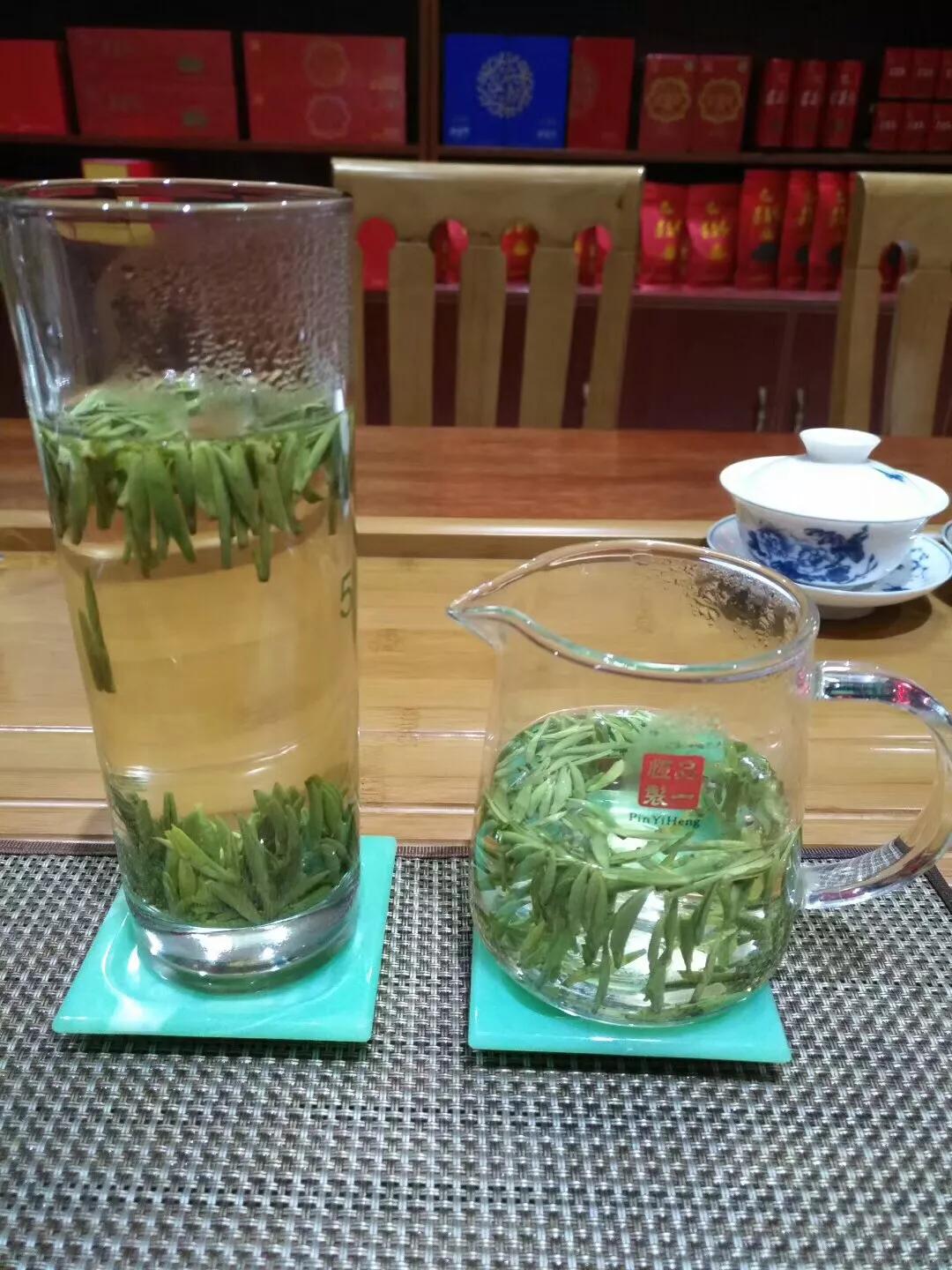 魔力百科新手必看攻略 快速提升实力的方法